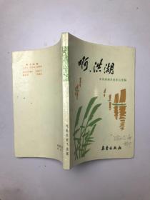 啊，洪湖
