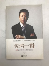 惊鸿一瞥：CCTV首席财经主播陈伟鸿自述