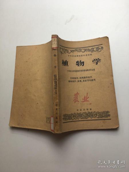 中等农业学校 教科书初稿:  植物学