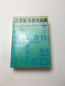 汉语新词新义词典