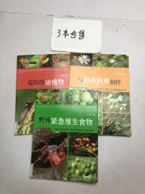 惠民小书屋·我爱自然系列（3册合售）与野花野草相伴、野外紧急维生食物、危险的动植物、