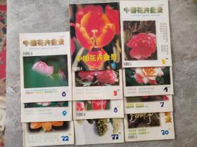 中国花卉盆景 1999年1-12期全 缺1（11本合售）