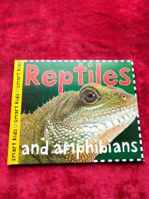 Reptiles and amphibians