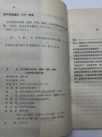 论中国经济改革：道路、转轨、接轨