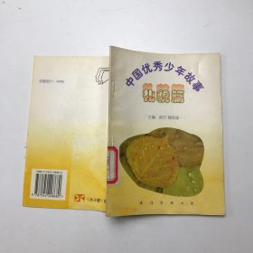 中国优秀少年故事