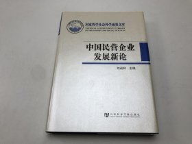 中国民营企业发展新论
