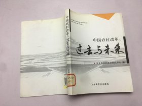 中国农村改革：过去与未来