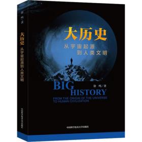 大历史 从宇宙起源到人类文明徐鸣9787312048869中国科学技术大学出版社