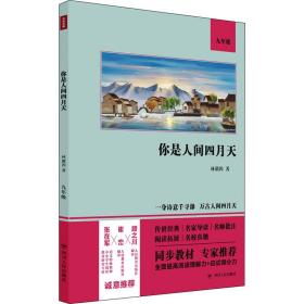 你是人間四月天林徽因四川人民出版社9787220122064