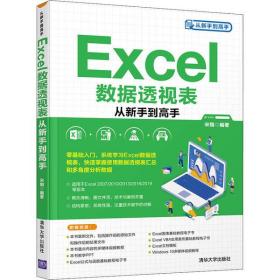 Excel数据透视表从新手 高 宋翔清华大学出版社9787302576174