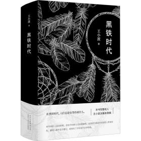 黑鐵時代王小波北京十月文藝出版社9787530218518小說