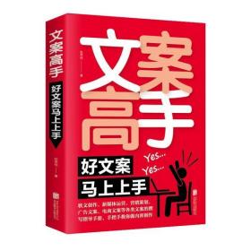 文案高手:好文案马上上手 张笑恒 北京联合出版社 9787559645944 新华书店直供