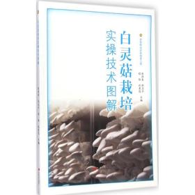 白灵菇栽培实操技术图解康源春中原农民出版社9787554208533
