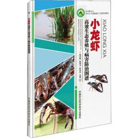 小龙虾高效生态养殖与病害防治图谱高光明中国农业科学技术出版社9787511643155