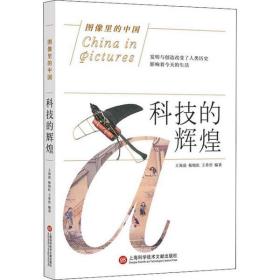 科技的辉煌王海晨上海科学技术文献出版社9787543978621历史