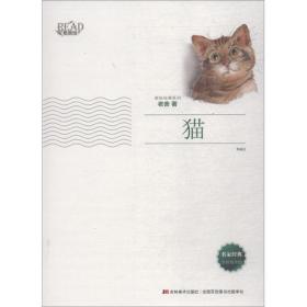 美绘经典系列?猫（全新插画版）老舍吉林美术出版社9787538697209童书