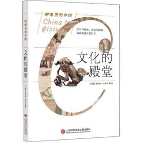 文化的殿堂王海晨上海科学技术文献出版社9787543978614历史