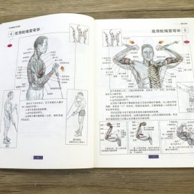 正版 【2册】肌肉健...