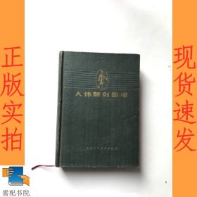 人体解剖图谱