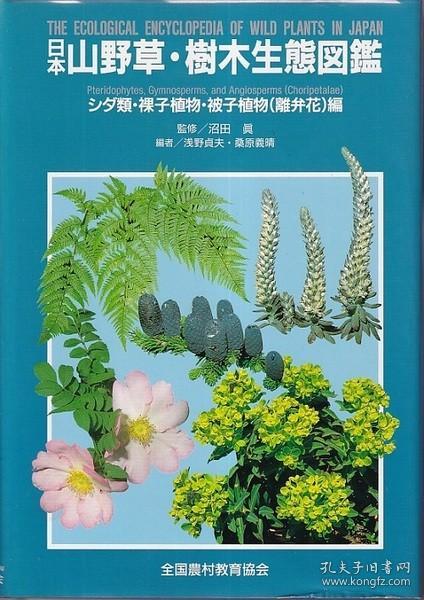 日本山野草 树木生态图鉴シダ类 裸子植物 被子植物 离辩花 编 Mlgs 孔夫子旧书网
