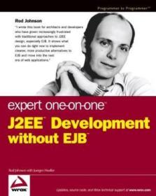 Expert One-on-one J2ee Development Without Ejb