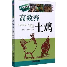 土鸡高效饲养管理繁育营养需要日粮配制鸡场设计与建设经营管理