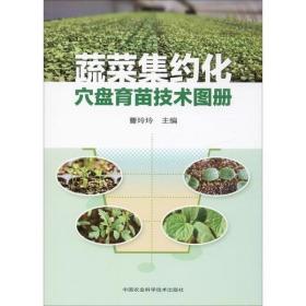蔬菜集约化穴盘育苗技术图册播种水肥配套设施移栽运输植物保护