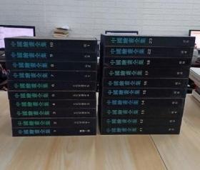 中国绘画全集 (1－18、22、23) 共20本合售 硬精装 带盒 /李红 文物出版社