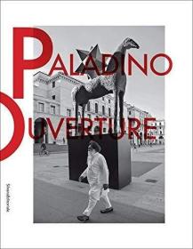 Mimmo Paladino: Overture /Luigi Maria Di Corato Silvana