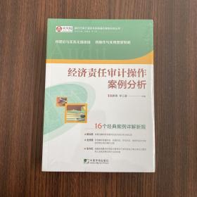 正版 经济责任审计操作案例分析 /高雅青 中国市场出版社 9787509219386