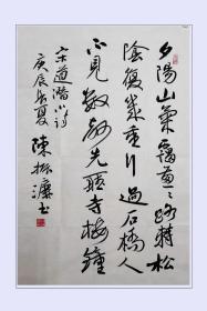 陈振濂书法作品手写真迹，（中国文联副主席，中国书法家协会副主席）现任中国文联副主席，中国书法家协会副主席，中国文艺评论家协会副主席，浙江省文联副主席、浙江大学人文学院院长，西泠印社副社长。现为国家级专家并享受政府特殊津贴。《宋道潜诗》，有鉴定证书。