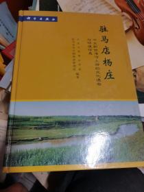 驻马店杨庄:中全新世淮河上游的文化遗存与环境信息