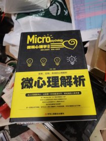 微观心理学丛书：微心理解析