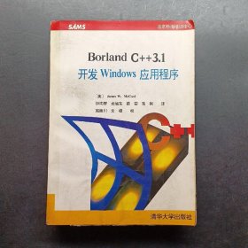 Borland C++3.1开发Windows应用程序