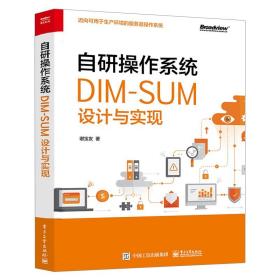 自研操作系统 DIM-SUM设计与实现 谢宝友 自研操作系统研发DIM-SUM平台开发设计生产环境服务器操作系统设计实现书籍