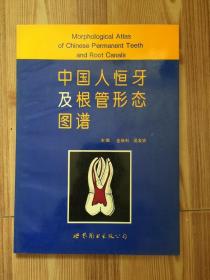 中国人恒牙及根管形态图谱