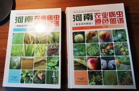 河南农业病虫原色图谱 粮棉油作物卷+果菜茶作物卷 两册合售