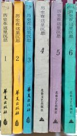 《历史在这里沉思》（6卷全）（1—6册）