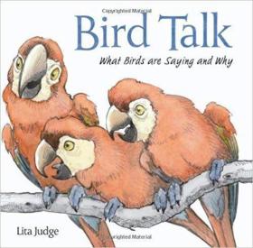 原版英文绘本 Bird Talk: What Birds Are Saying and Why 鸟语