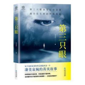 全新正版图书 第三只眼智绪彪贵州人民出版社9787221160188 长篇小说中国当代普通大众