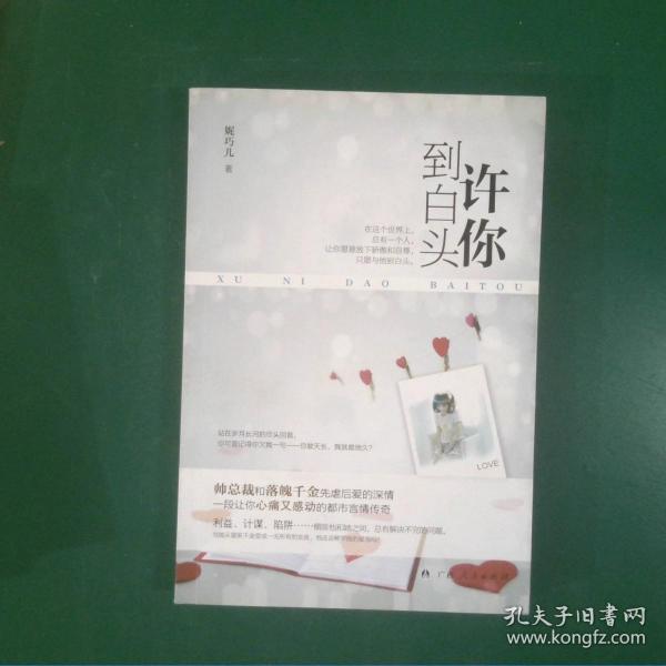 许你到白头帅总裁和落魄千金先虐后爱的深情一段让你心痛又感动都市言情