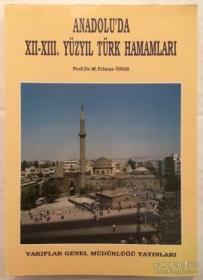 Anadolu'da XII-XIII. Yüzyil Türk Hamamlari