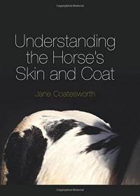 Understanding the Horse's Skin and Coat