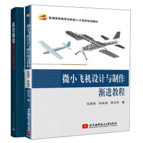 航空模型设计与制作+微小飞机设计与制作渐进教程 2册 航模无人机研发 固定翼无人机技术 微小飞机无人机航模发烧友设计制作书籍