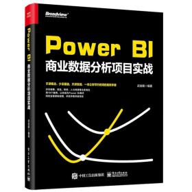 Power BI商业数据分析项目实战 简化报告技巧人力资源公司报表设计制作项目书 Power Query Power BI商业数据智能分析软件书籍