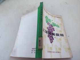 上海葡萄栽培