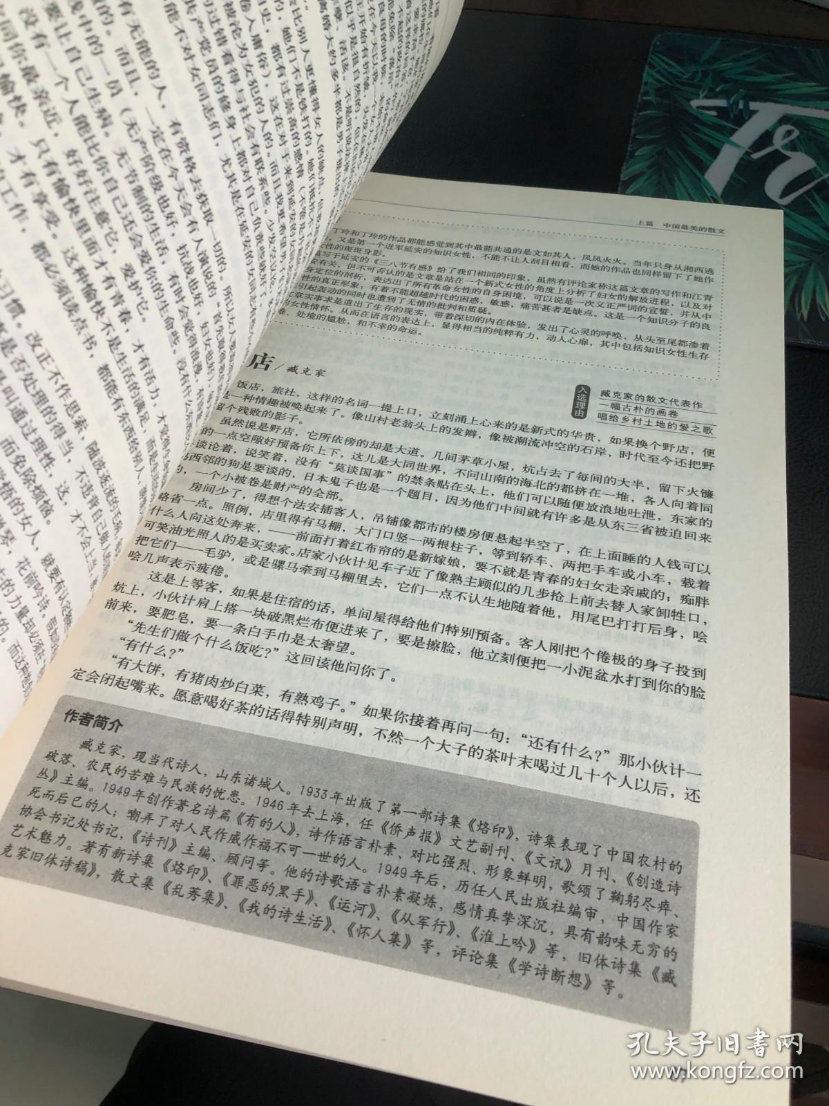 87d31d3a8dccf3dc_b.jpg
