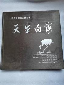 画册类：天生向海--赵俊鸟类生态摄影集（12开 精装全彩画册）   印5000册