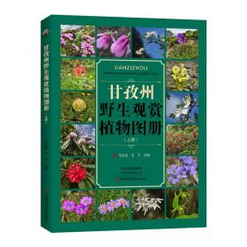 甘孜州野生观赏植物图册 河南科学技术出版社9787572503931正版全新图书籍Book