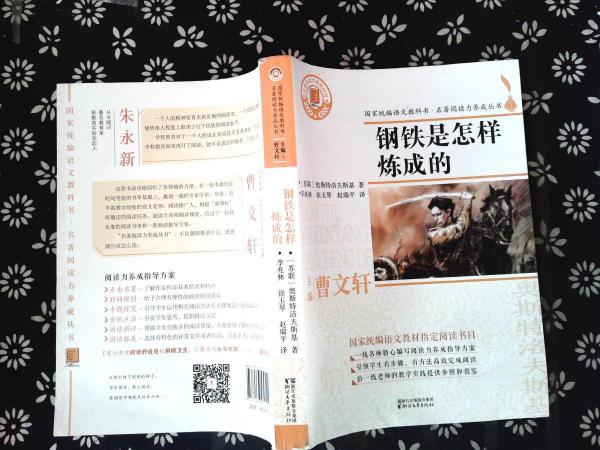 成语文什么书_语文书